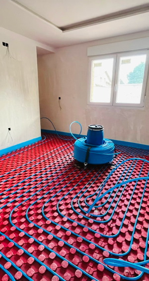 Patricia Moreno APT 3